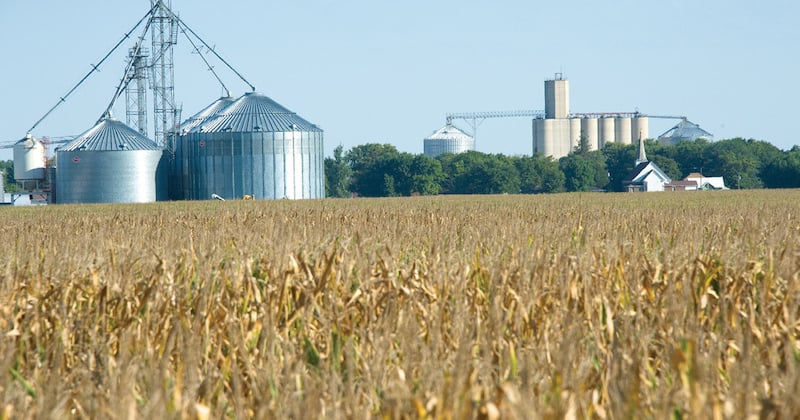 Détection de vol sur récoltes